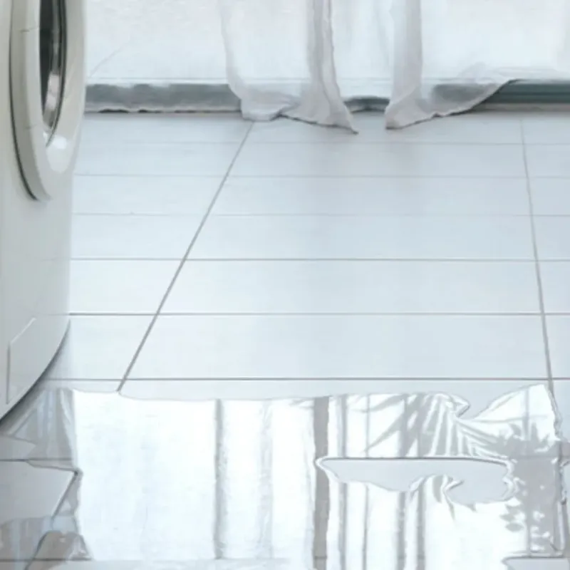 Appliance Leak Cleanup in DeKalb County, IN