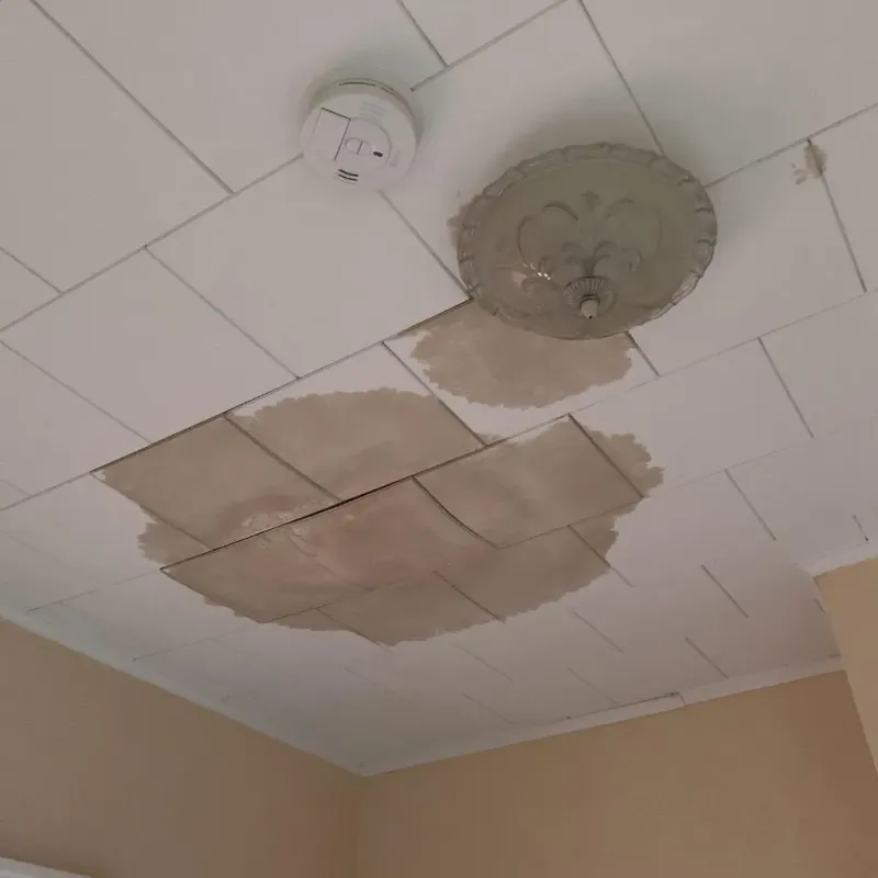 Ceiling Water Damage Repair in DeKalb County, IN