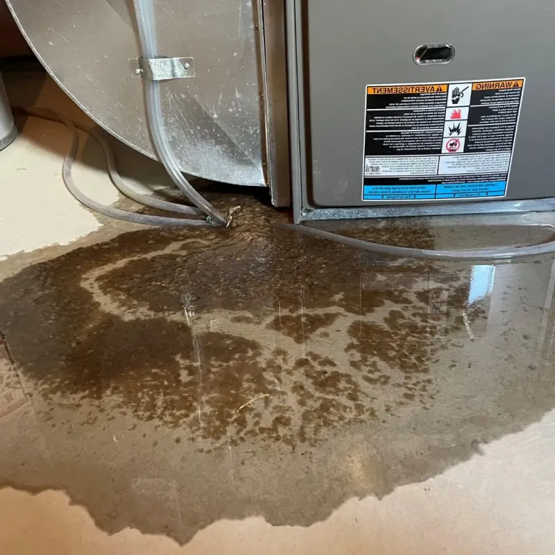 Pipe Burst and Leak Restoration in DeKalb County, IN