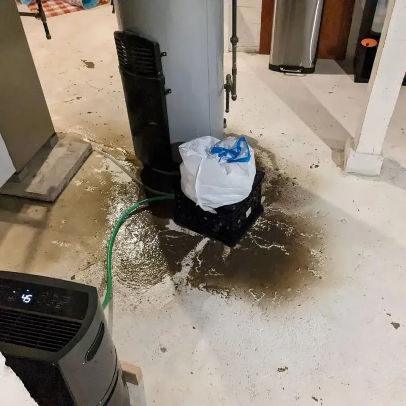 Sewage Backup Cleanup Service in DeKalb County, IN